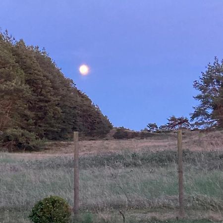 Ateljen Villa Borrby Bagian luar foto