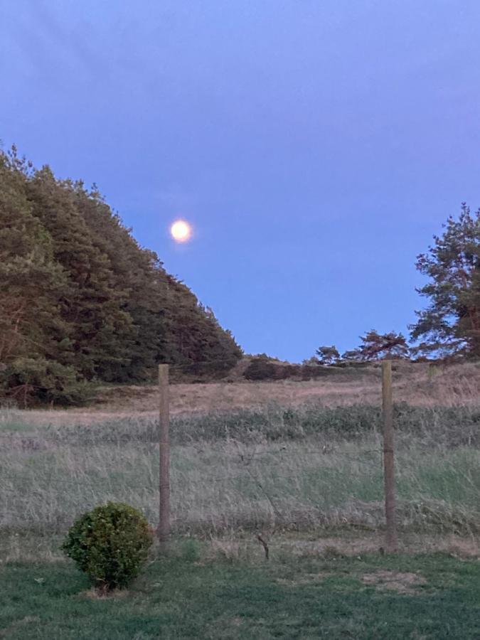 Ateljen Villa Borrby Bagian luar foto